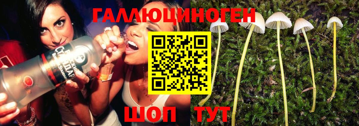 Псилоцибиновые грибы Magic Shrooms Кохма
